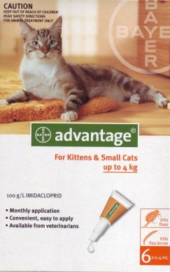 Advantage small cat 6 pack 2025